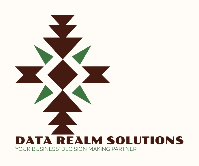 Data Realm Solutions Logo